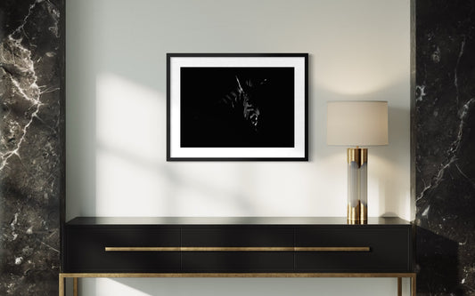 MONOCHROME IN THE SHADOWS