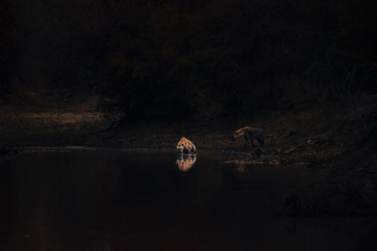 WHERE DARKNESS GATHERS