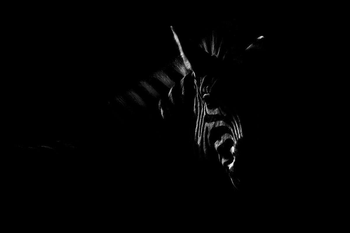 MONOCHROME IN THE SHADOWS