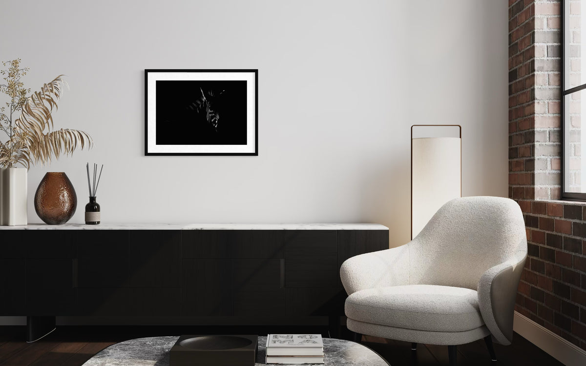 MONOCHROME IN THE SHADOWS
